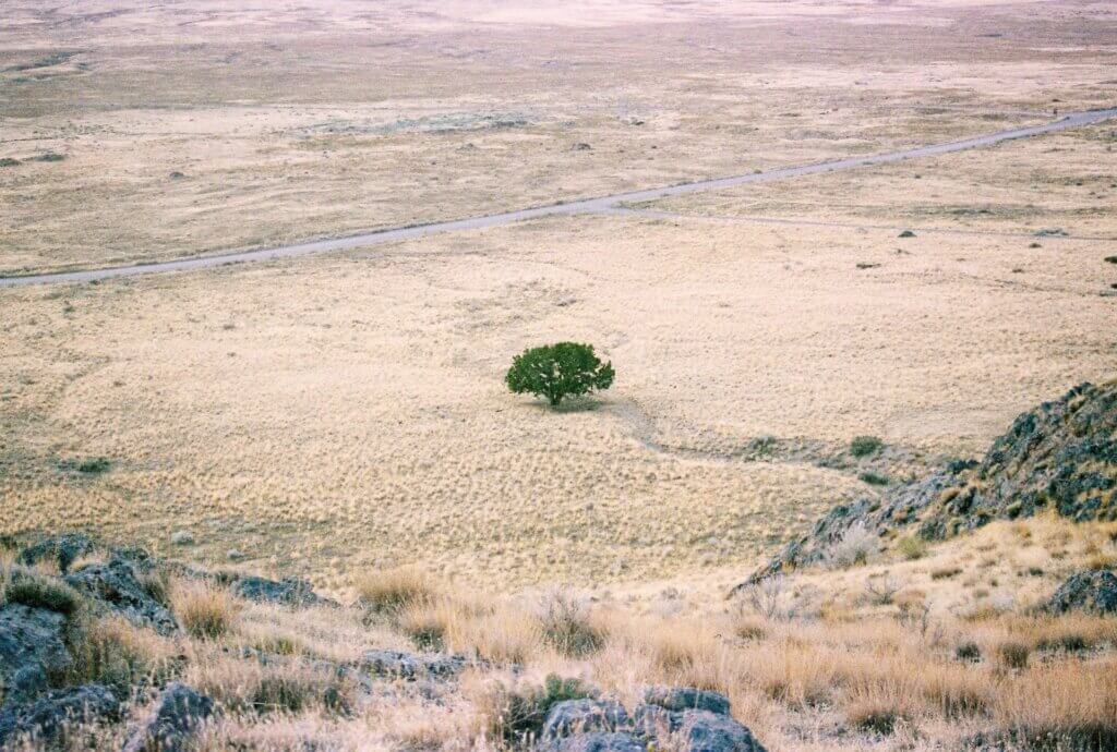 Effetti climatici del fenomeno El Niño