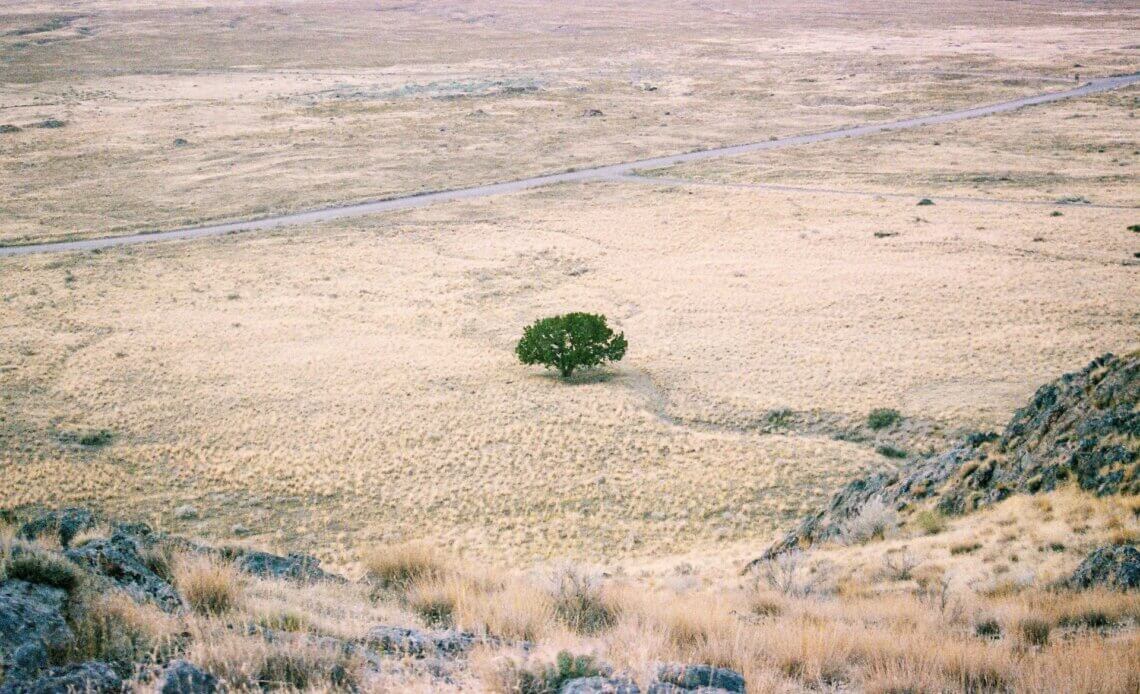Effetti climatici del fenomeno El Niño