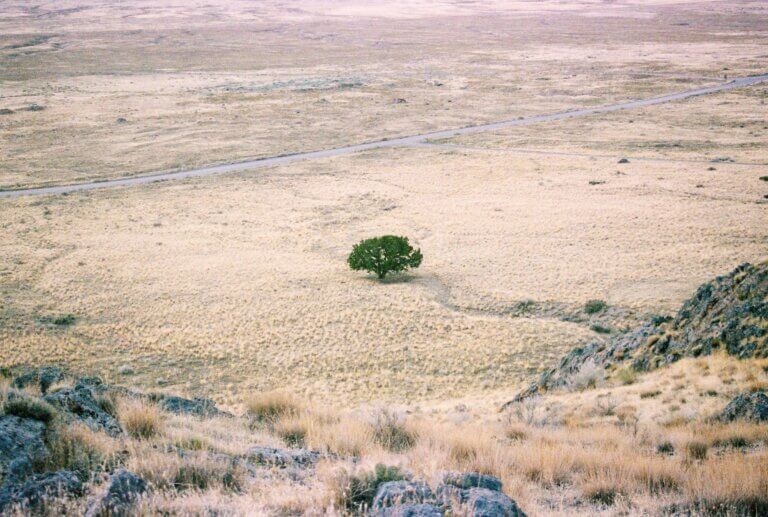Effetti climatici del fenomeno El Niño